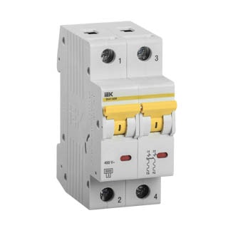 ВА47-60M 2Р 40А/D 6кА IEK, Автоматичний вимикач